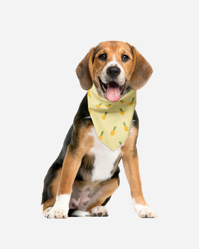 [Clearance] Roly Pawly Pet Bandana Scarf